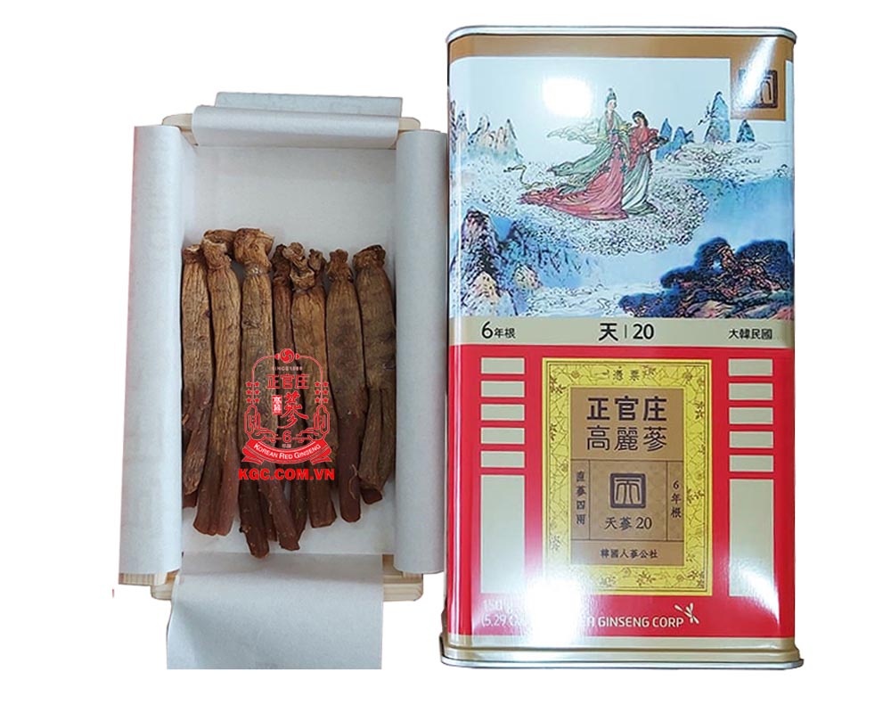 Thiên sâm Hàn Quốc