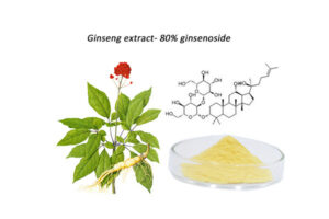 Tác dụng của chất Ginsenosides