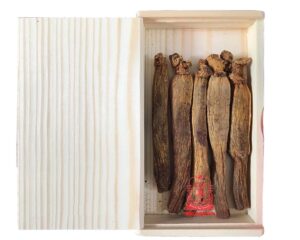 Mua sâm Hàn Quốc ở đâu