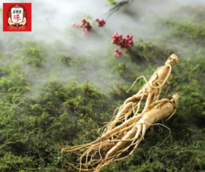 Sâm tẩm mật ong Hàn Quốc